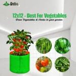 12x12 Grow Bag - Plant Suggestion