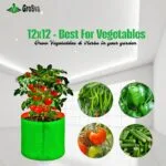 12x12 Grow Bag - Plant Suggestion