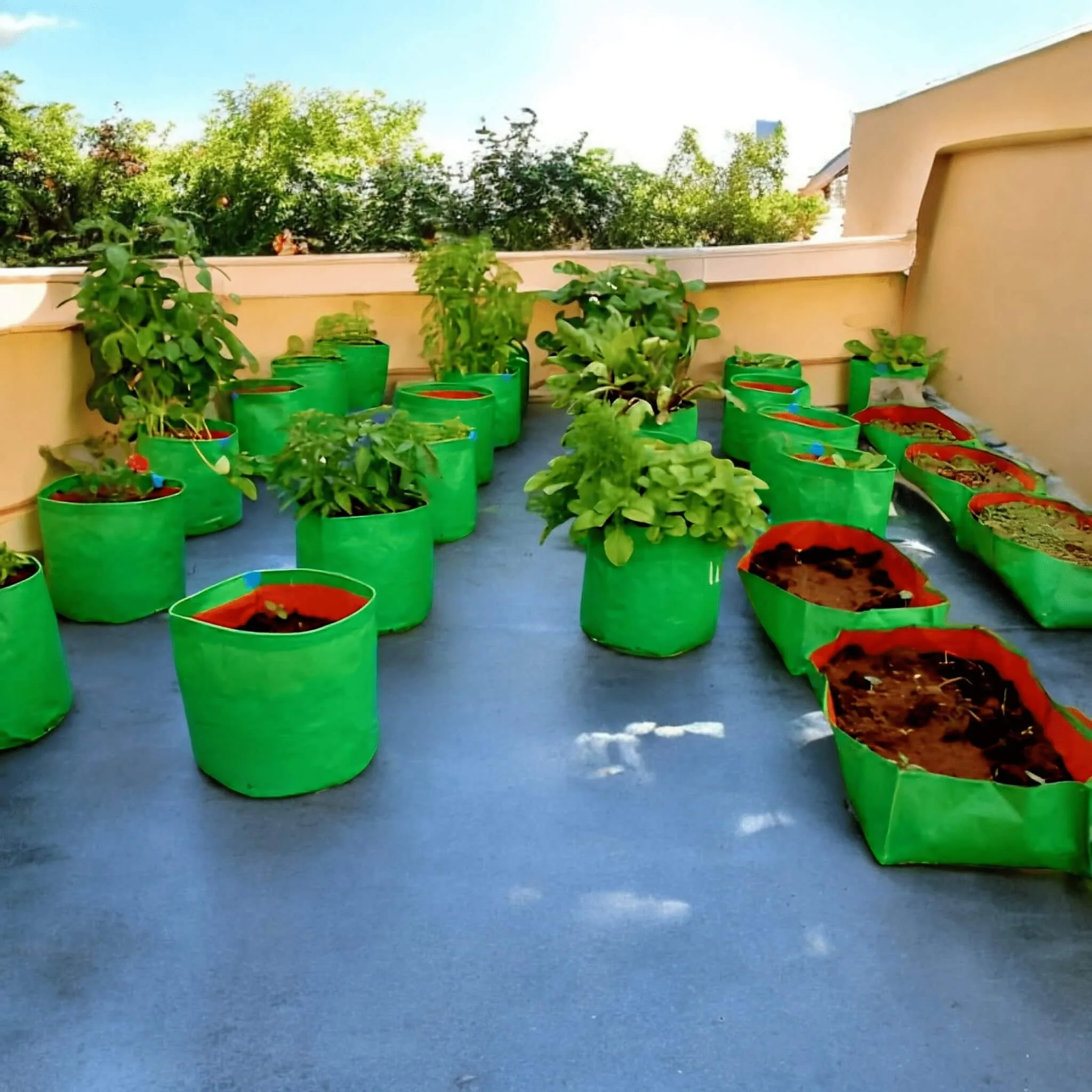 plant bags (GroSva Grow Bags)