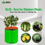 18x15 Grow Bag - Plant Suggstion