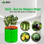 18x15 Grow Bag - Plant Suggstion