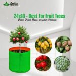 24x18 Grow Bag - Plant Suggestion