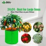 24x24 Grow Bag - Plant Suggestion