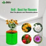 9x9 Grow Bag - Plant Suggestion