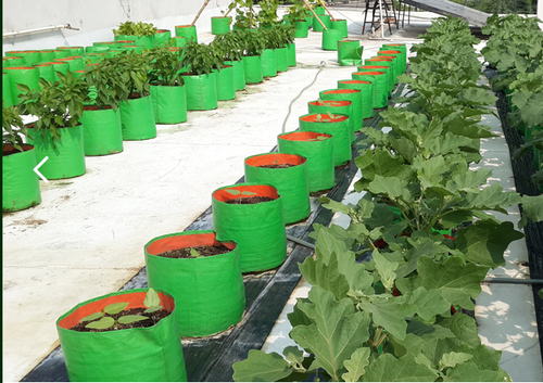 GroWonder Grow Bag 12x12Inches,230 GSM Strong,Terrace Gardening