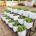 White LDPE Grow Bags for Plants