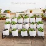 LDPE Grow Bags - Real Product image