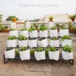 LDPE Grow Bags - Real Product image