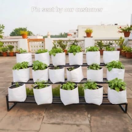 LDPE Grow Bags - Real Product image