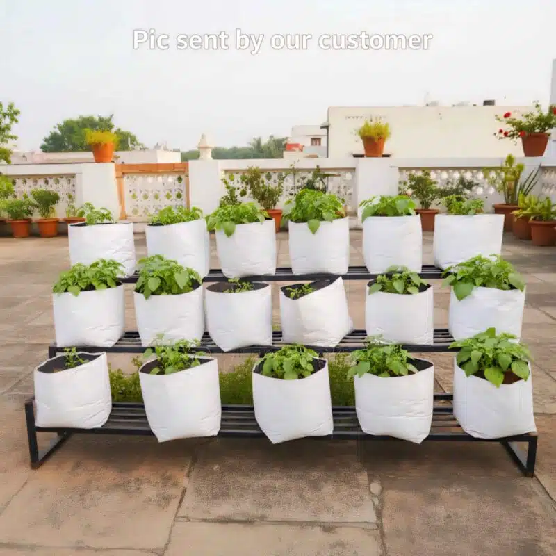 LDPE Grow Bags - Real Product image
