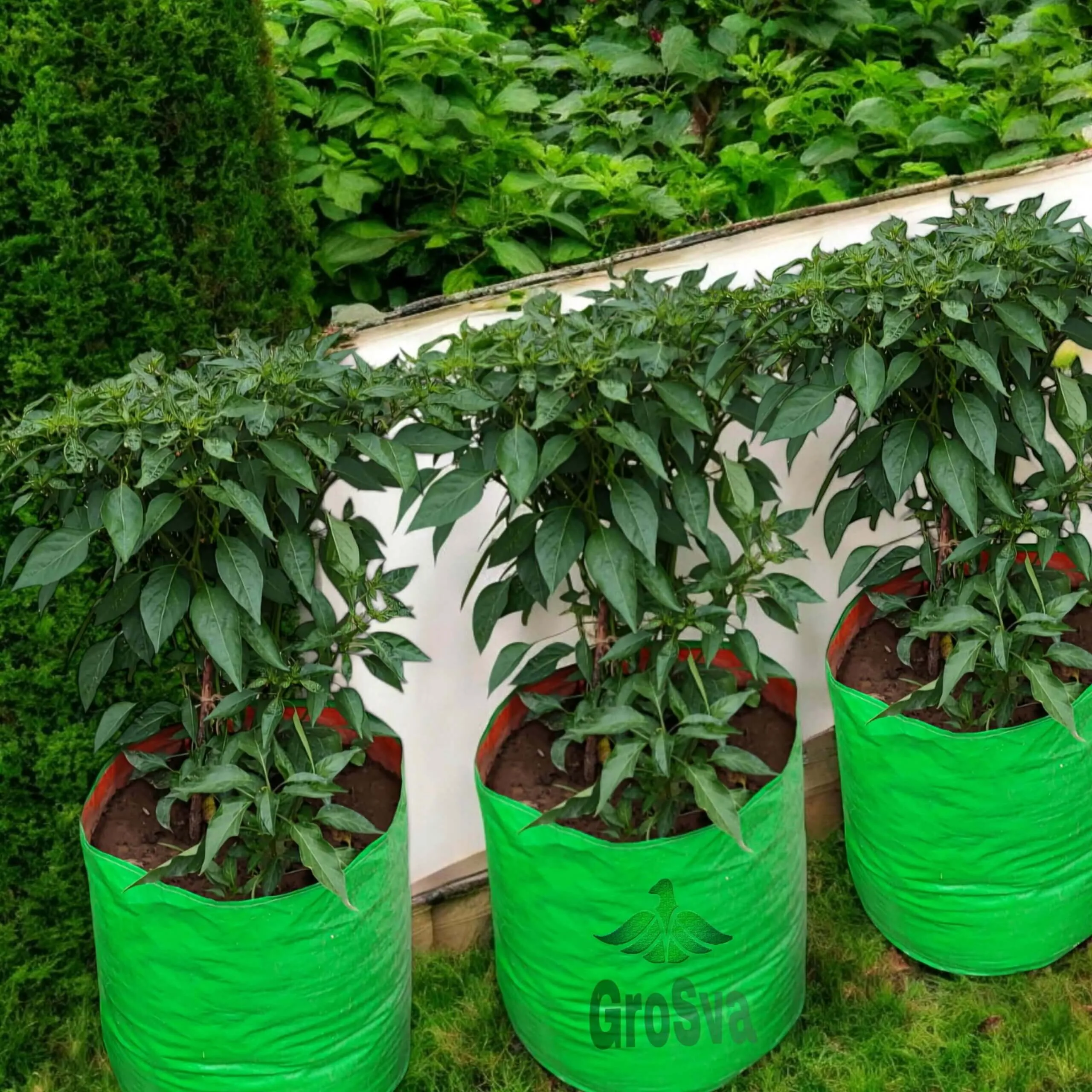 Gardening Bags for Vegetable Plants