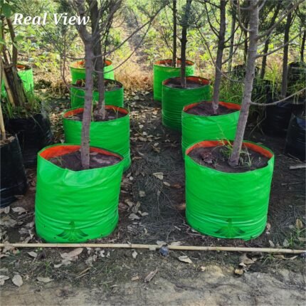 24x24 Large Grow bags - Real View