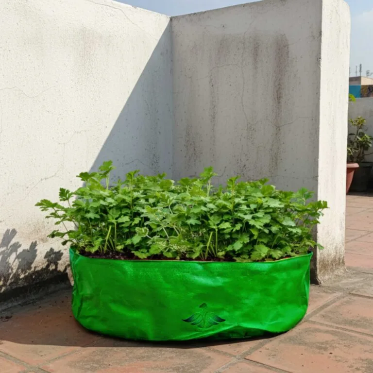 9x24 Grow Bags for Leafy Vegetable