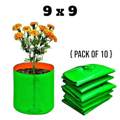 Grow Bag 9x9