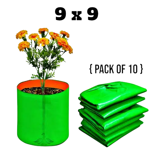 Grow Bag 9x9